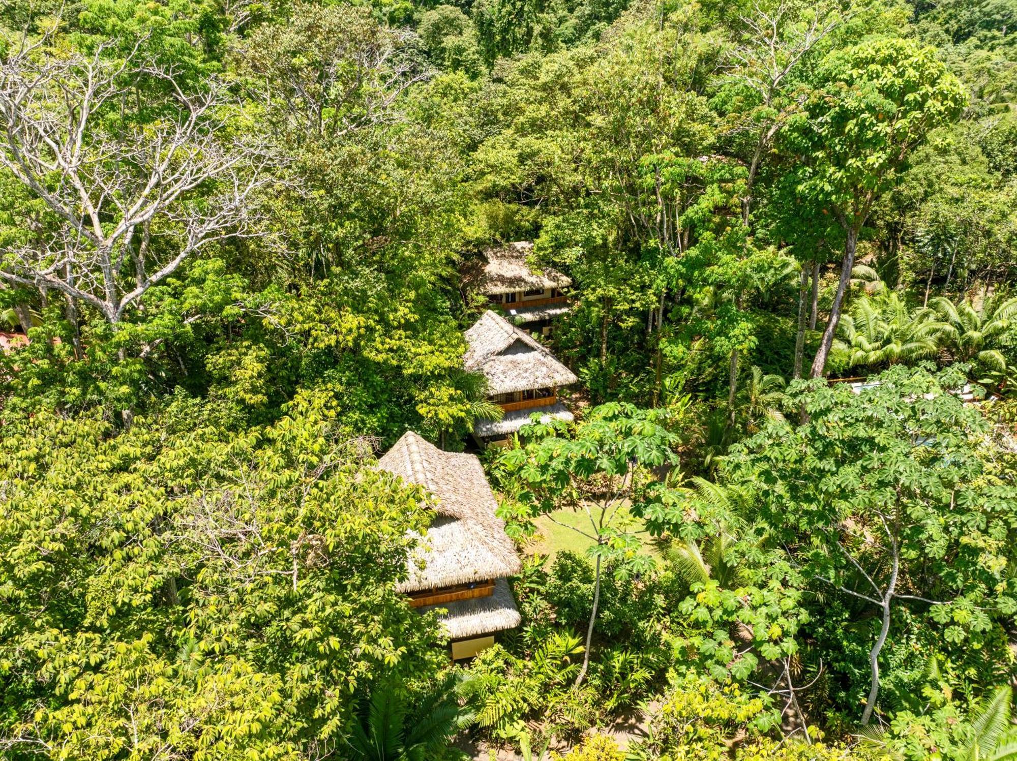 Copa De Arbol Beach & Rainforest Resort Drakes Bay エクステリア 写真