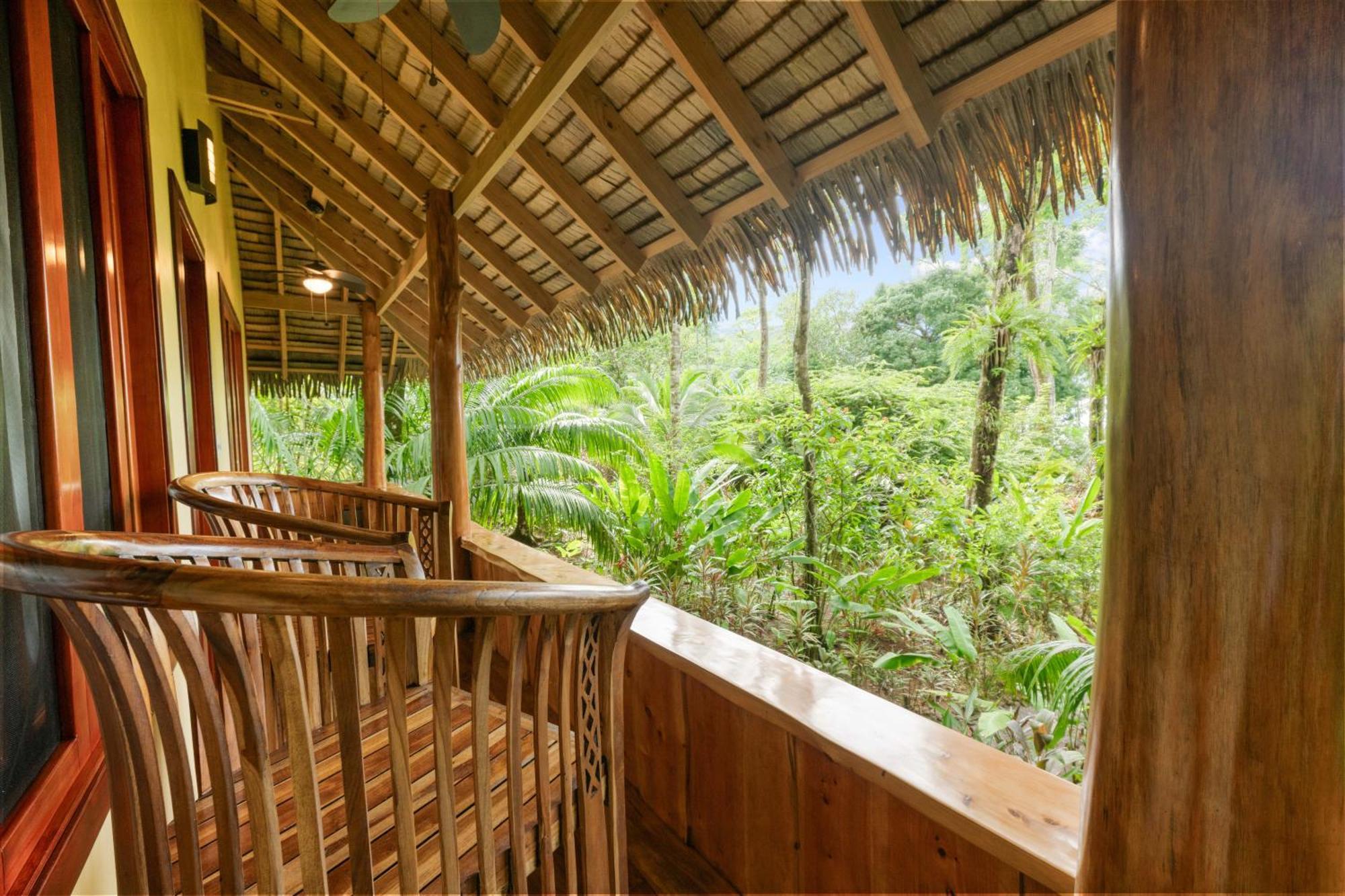 Copa De Arbol Beach & Rainforest Resort Drakes Bay エクステリア 写真