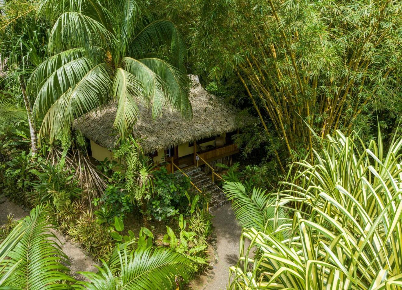 Copa De Arbol Beach & Rainforest Resort Drakes Bay 部屋 写真