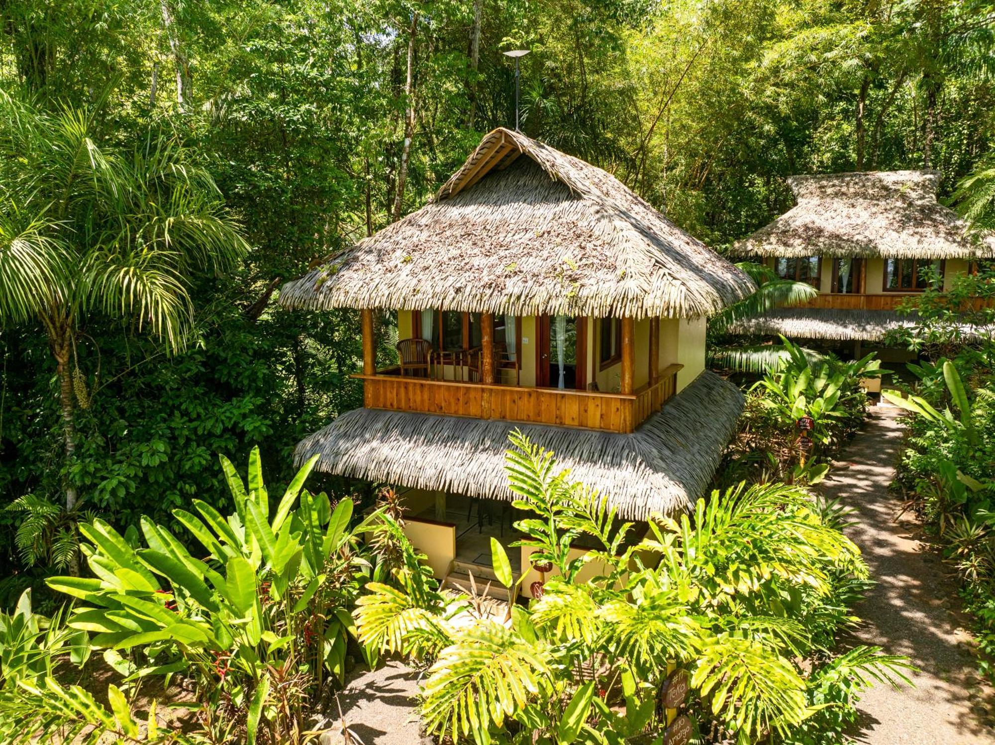 Copa De Arbol Beach & Rainforest Resort Drakes Bay エクステリア 写真