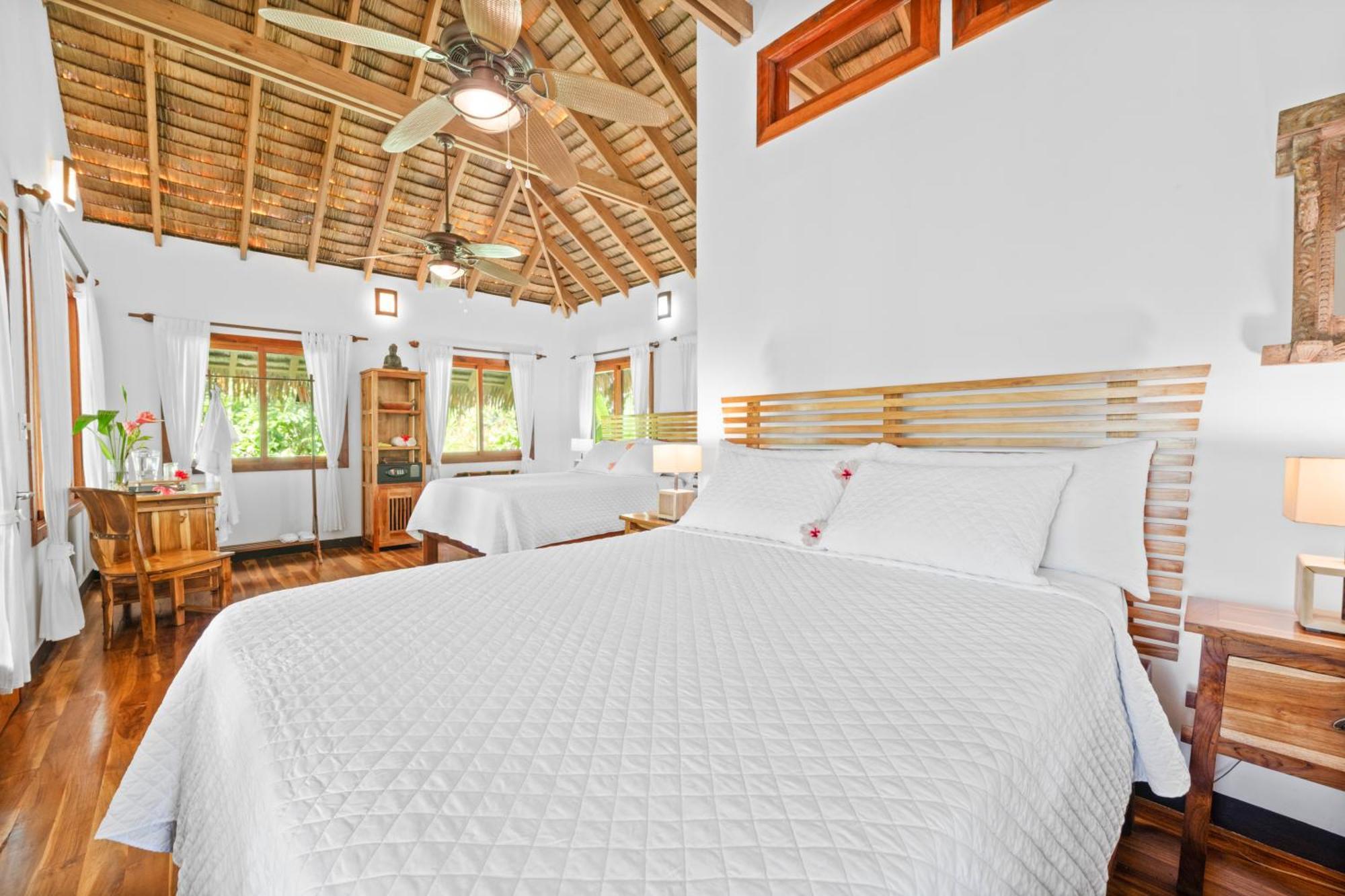 Copa De Arbol Beach & Rainforest Resort Drakes Bay 部屋 写真