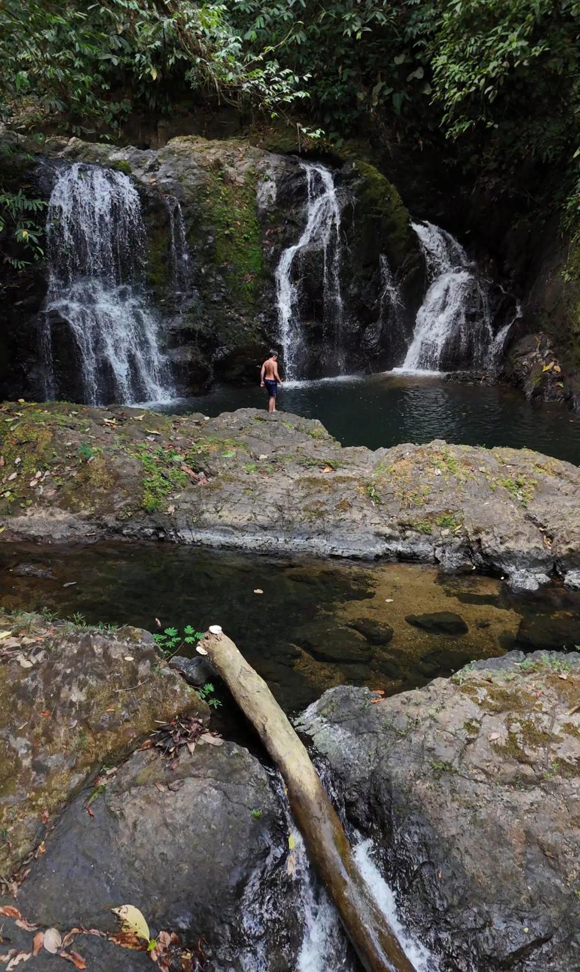 Copa De Arbol Beach & Rainforest Resort Drakes Bay エクステリア 写真