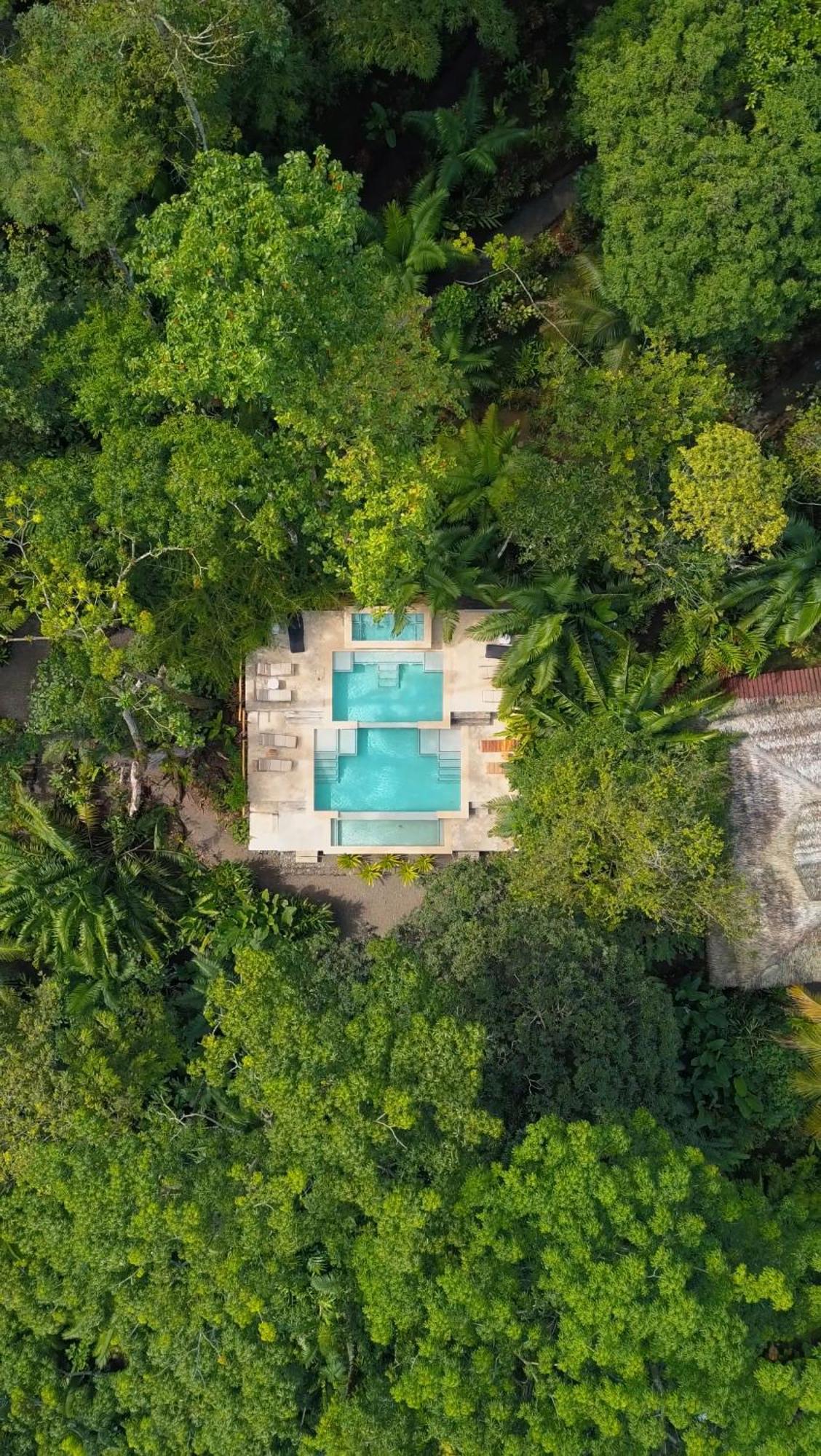Copa De Arbol Beach & Rainforest Resort Drakes Bay エクステリア 写真