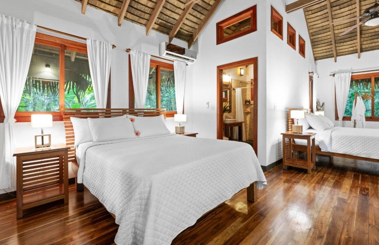 Copa De Arbol Beach & Rainforest Resort Drakes Bay エクステリア 写真