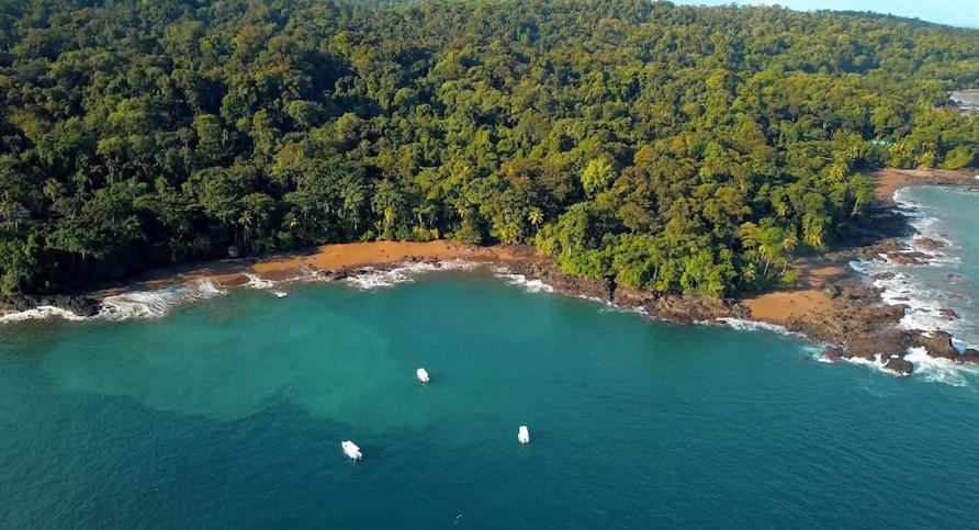 Copa De Arbol Beach & Rainforest Resort Drakes Bay エクステリア 写真