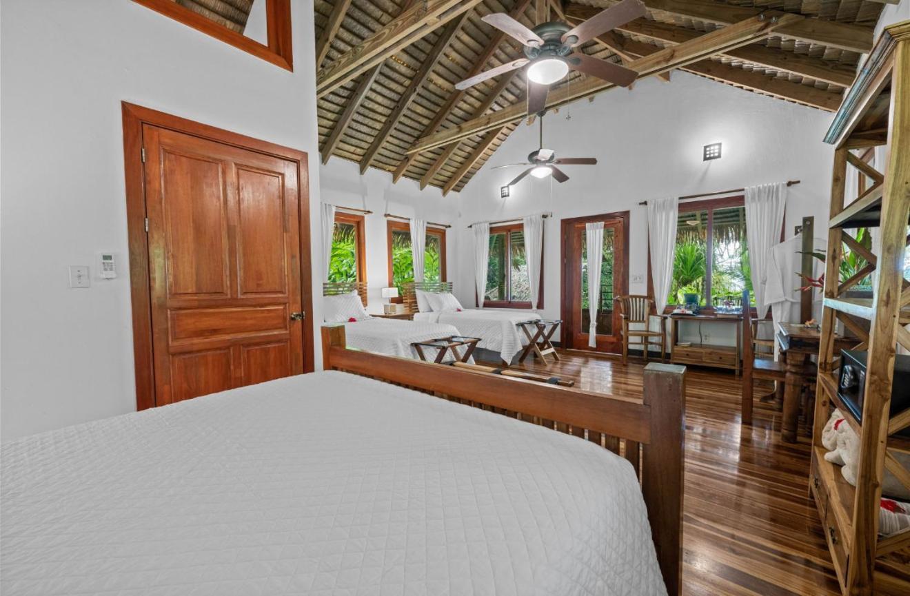 Copa De Arbol Beach & Rainforest Resort Drakes Bay エクステリア 写真