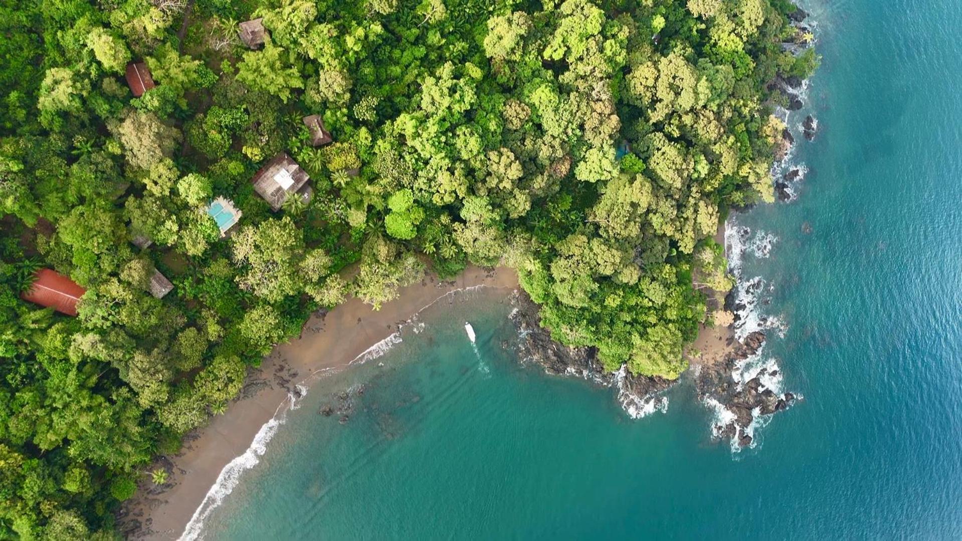 Copa De Arbol Beach & Rainforest Resort Drakes Bay エクステリア 写真